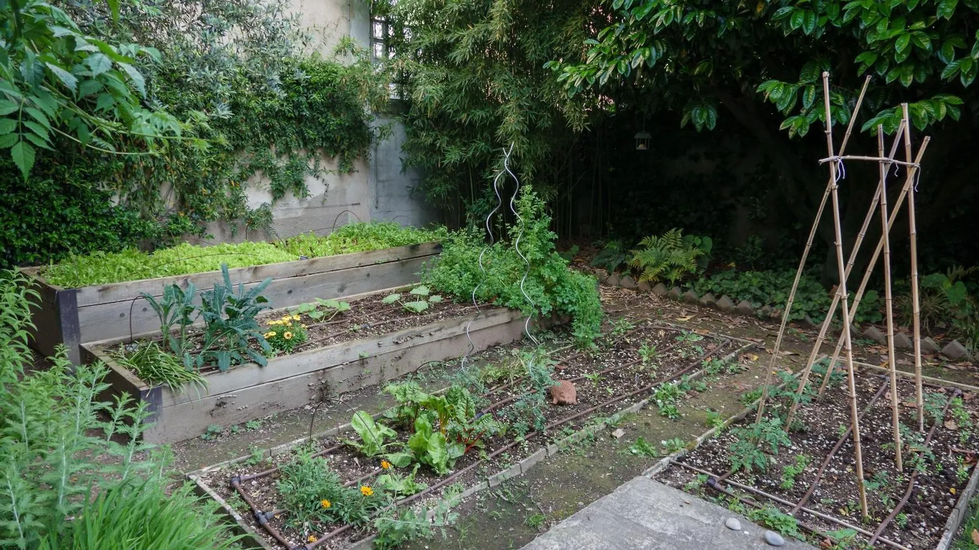 Family House Baggio - Appartamento A Milano Ιταλία